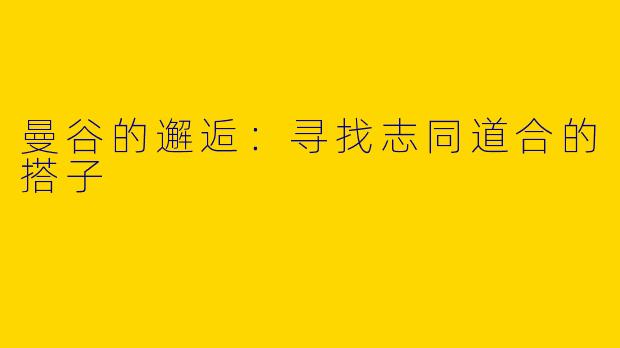 曼谷的邂逅：寻找志同道合的搭子
