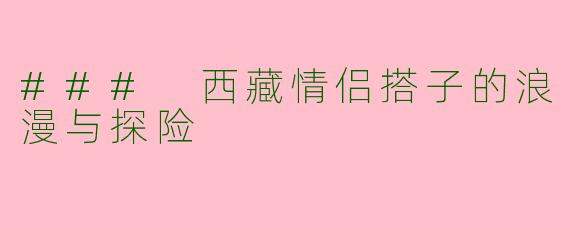 ### 西藏情侣搭子的浪漫与探险