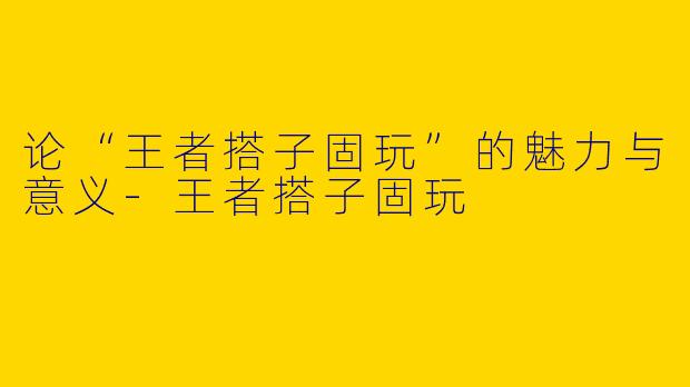 论“王者搭子固玩”的魅力与意义-王者搭子固玩
