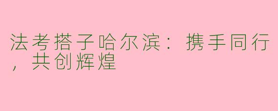 法考搭子哈尔滨：携手同行，共创辉煌