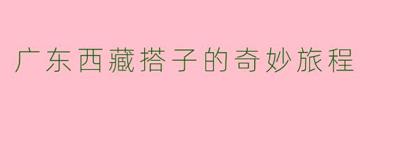 广东西藏搭子的奇妙旅程