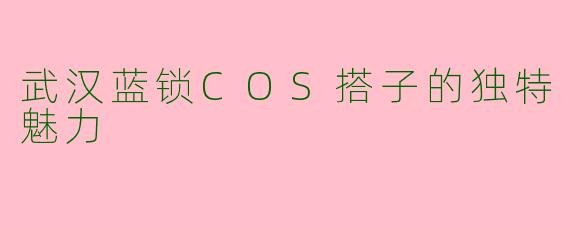 武汉蓝锁COS搭子的独特魅力