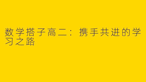 数学搭子高二：携手共进的学习之路