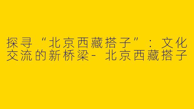 探寻“北京西藏搭子”：文化交流的新桥梁-北京西藏搭子