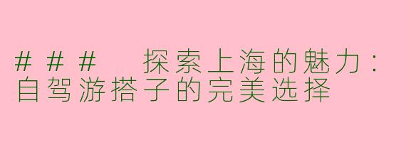 ### 探索上海的魅力：自驾游搭子的完美选择