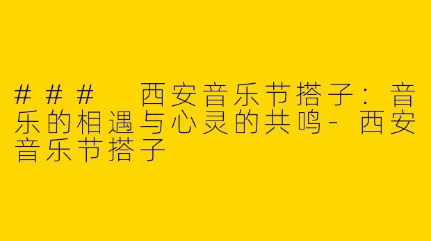 ### 西安音乐节搭子：音乐的相遇与心灵的共鸣-西安音乐节搭子