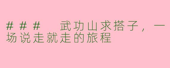 ### 武功山求搭子，一场说走就走的旅程