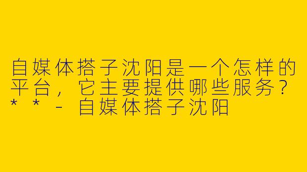 自媒体搭子沈阳是一个怎样的平台,它主要提供哪些服务?**