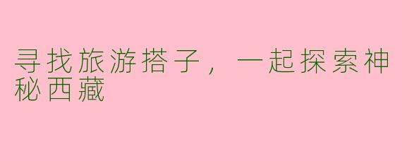 寻找旅游搭子，一起探索神秘西藏