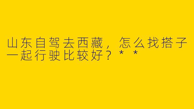 山东自驾去西藏，怎么找搭子一起行驶比较好？**
