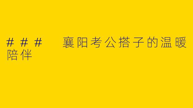### 襄阳考公搭子的温暖陪伴
