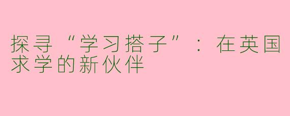 探寻“学习搭子”:在英国求学的新伙伴