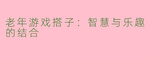 老年游戏搭子：智慧与乐趣的结合