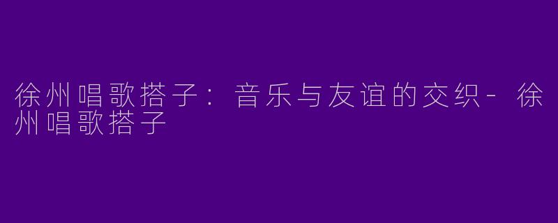 徐州唱歌搭子：音乐与友谊的交织-徐州唱歌搭子
