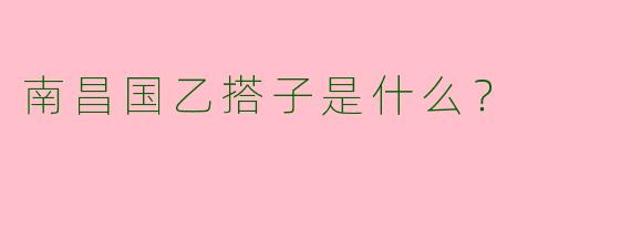 南昌国乙搭子是什么?