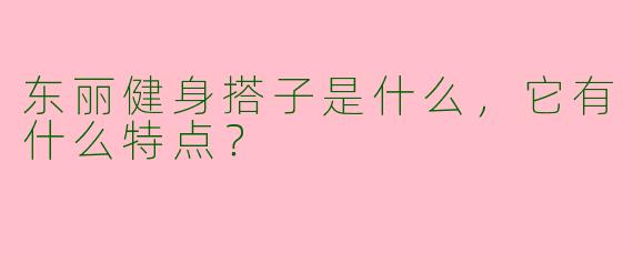 东丽健身搭子是什么，它有什么特点？