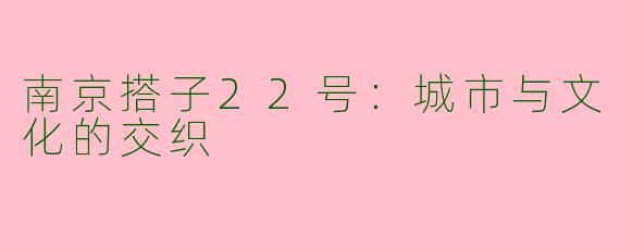 南京搭子22号：城市与文化的交织