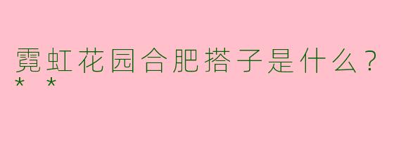 霓虹花园合肥搭子是什么？**
