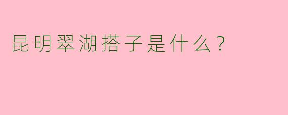 昆明翠湖搭子是什么？