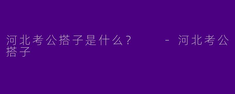 河北考公搭子是什么？  