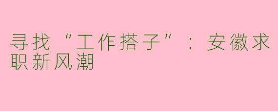 寻找“工作搭子”：安徽求职新风潮