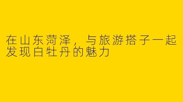 在山东菏泽，与旅游搭子一起发现白牡丹的魅力