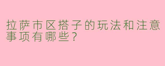 拉萨市区搭子的玩法和注意事项有哪些?