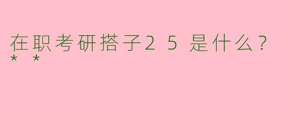 在职考研搭子25是什么？**