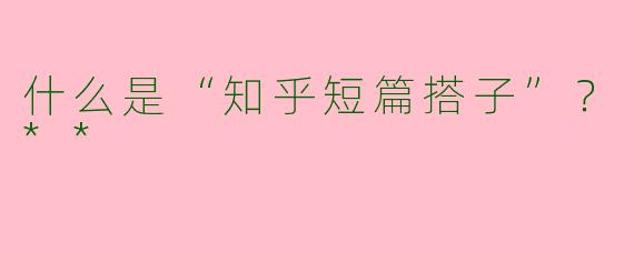 什么是“知乎短篇搭子”?**