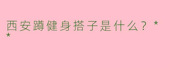 西安蹲健身搭子是什么？**