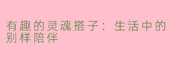 有趣的灵魂搭子：生活中的别样陪伴