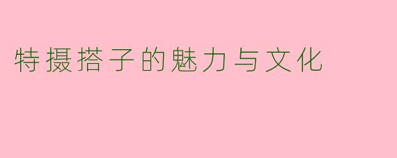 特摄搭子的魅力与文化