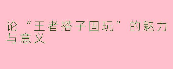论“王者搭子固玩”的魅力与意义