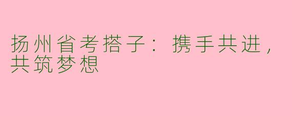 扬州省考搭子：携手共进，共筑梦想