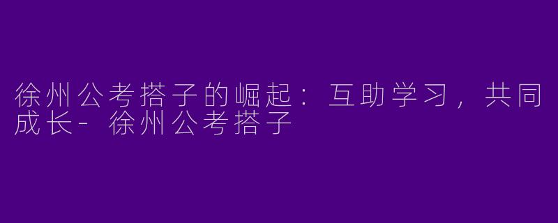 徐州公考搭子的崛起：互助学习，共同成长-徐州公考搭子