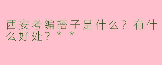 西安考编搭子是什么?有什么好处?**
