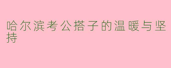 哈尔滨考公搭子的温暖与坚持