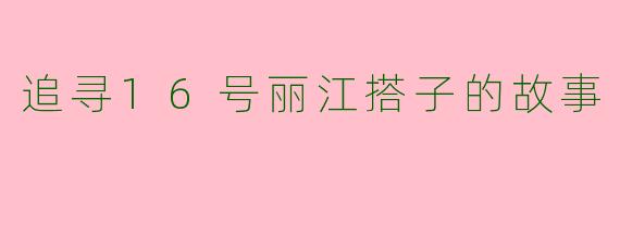 追寻16号丽江搭子的故事
