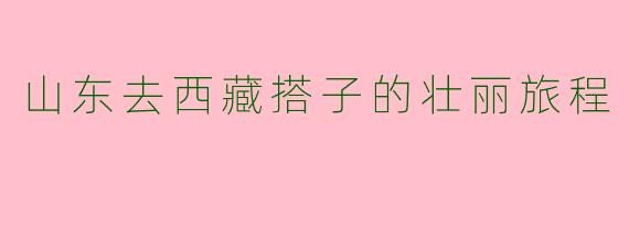 山东去西藏搭子的壮丽旅程