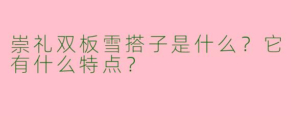 崇礼双板雪搭子是什么？它有什么特点？