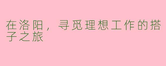 在洛阳，寻觅理想工作的搭子之旅