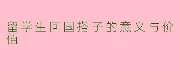 留学生回国搭子的意义与价值