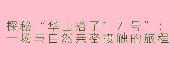探秘“华山搭子17号”：一场与自然亲密接触的旅程