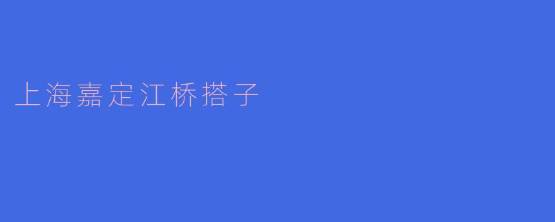 上海嘉定江桥搭子
