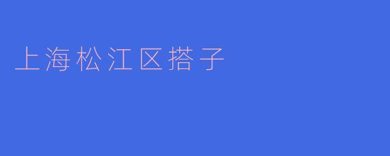 松江区搭子的独特魅力与文化内涵