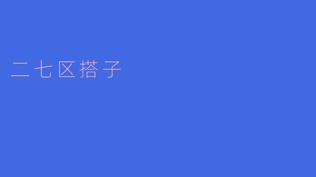 二七区搭子