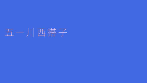 五一川西搭子