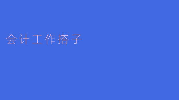 会计工作搭子