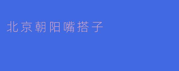 北京朝阳嘴搭子是什么？****