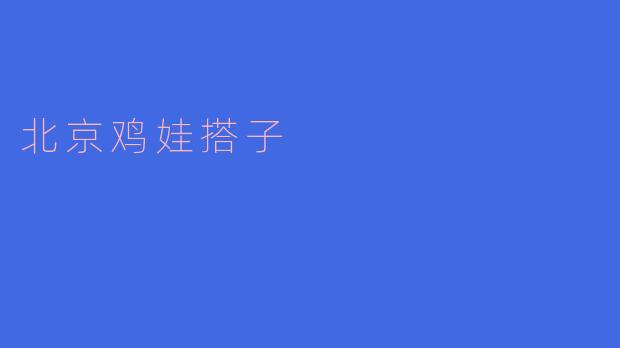 北京鸡娃搭子